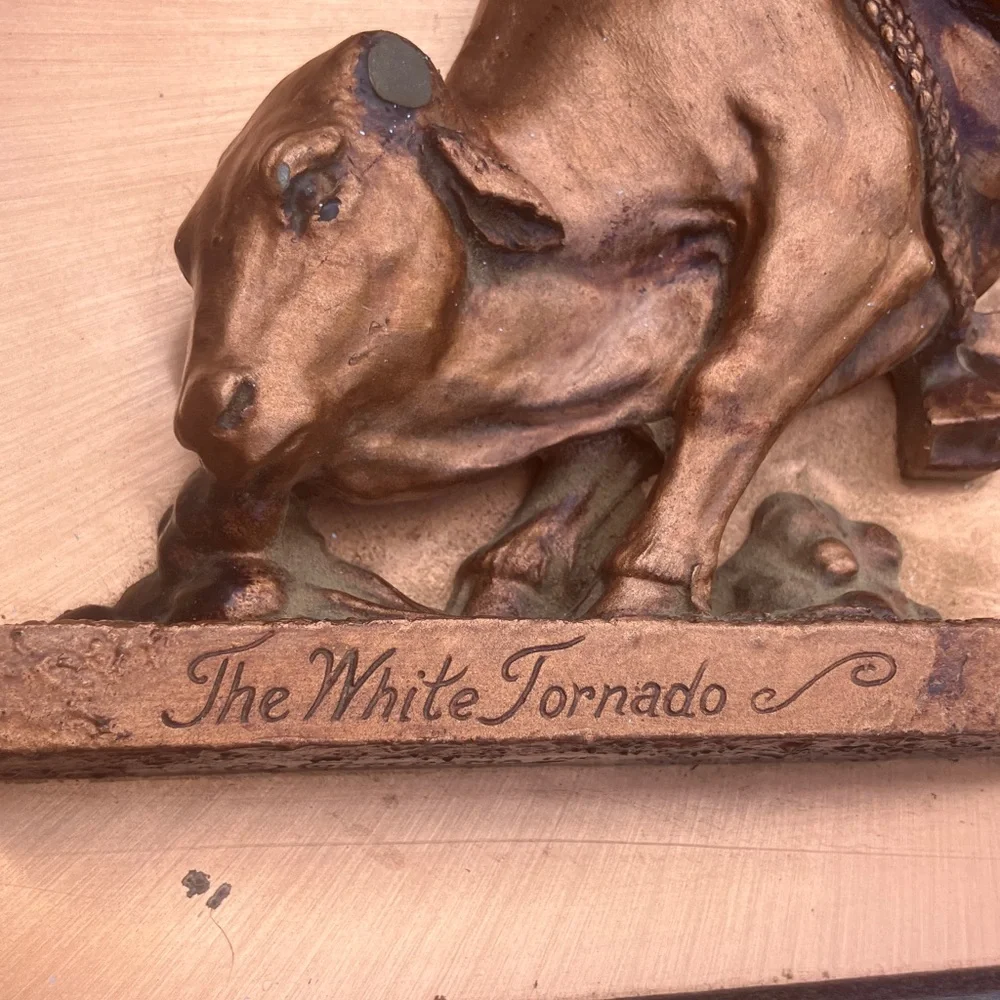 Vintage “The White Tornado” Rustic Bronze Plaster 3D Bull‎ Rider Wall Art 13x16